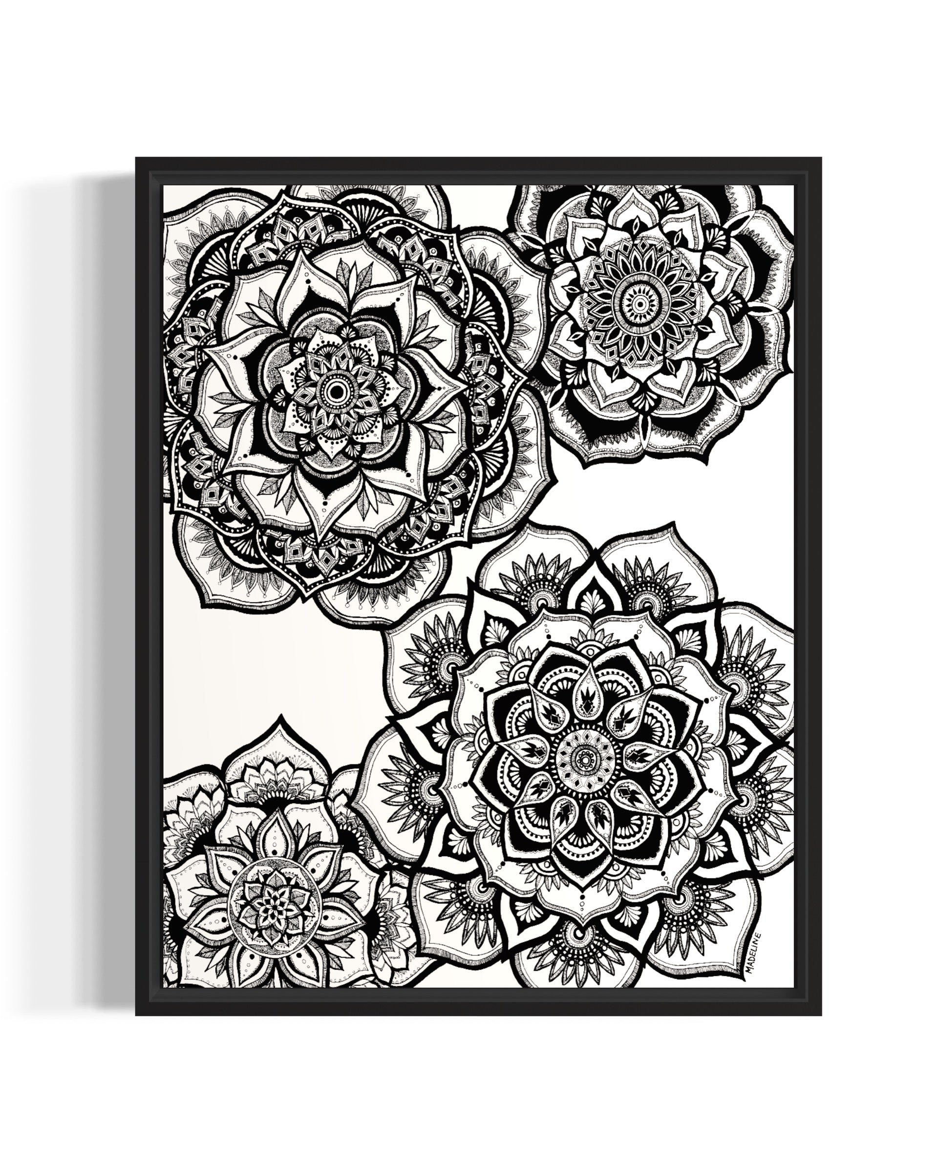 Floral Fascination Giclée Print (XAOS)