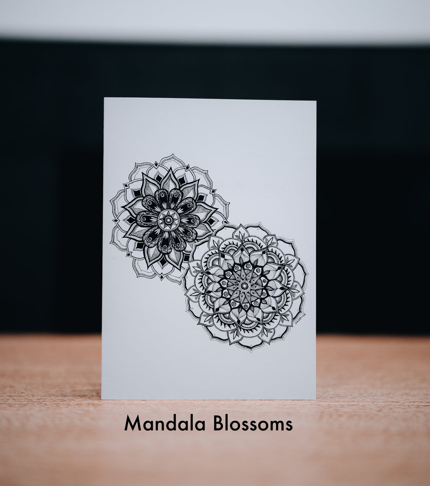 Greeting Cards, Set of 4 (Choose Your Own Variety)