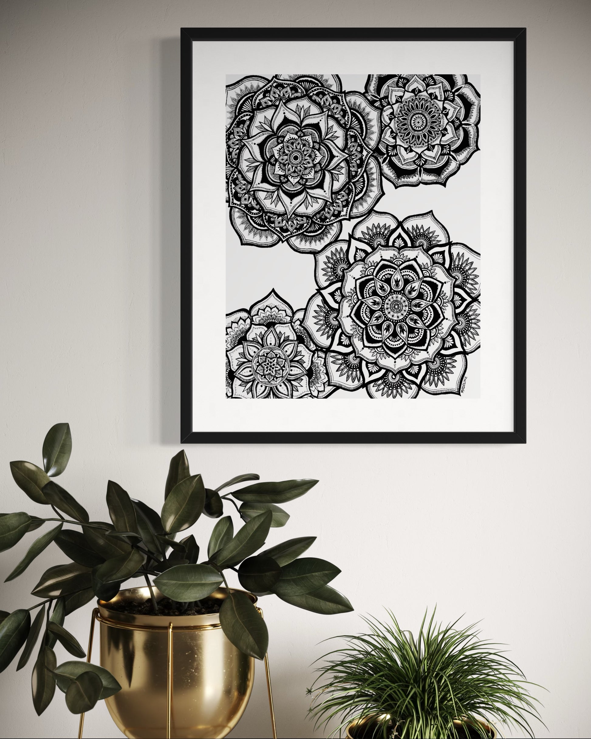Framed black and white floral artwork on a wall with plants below.