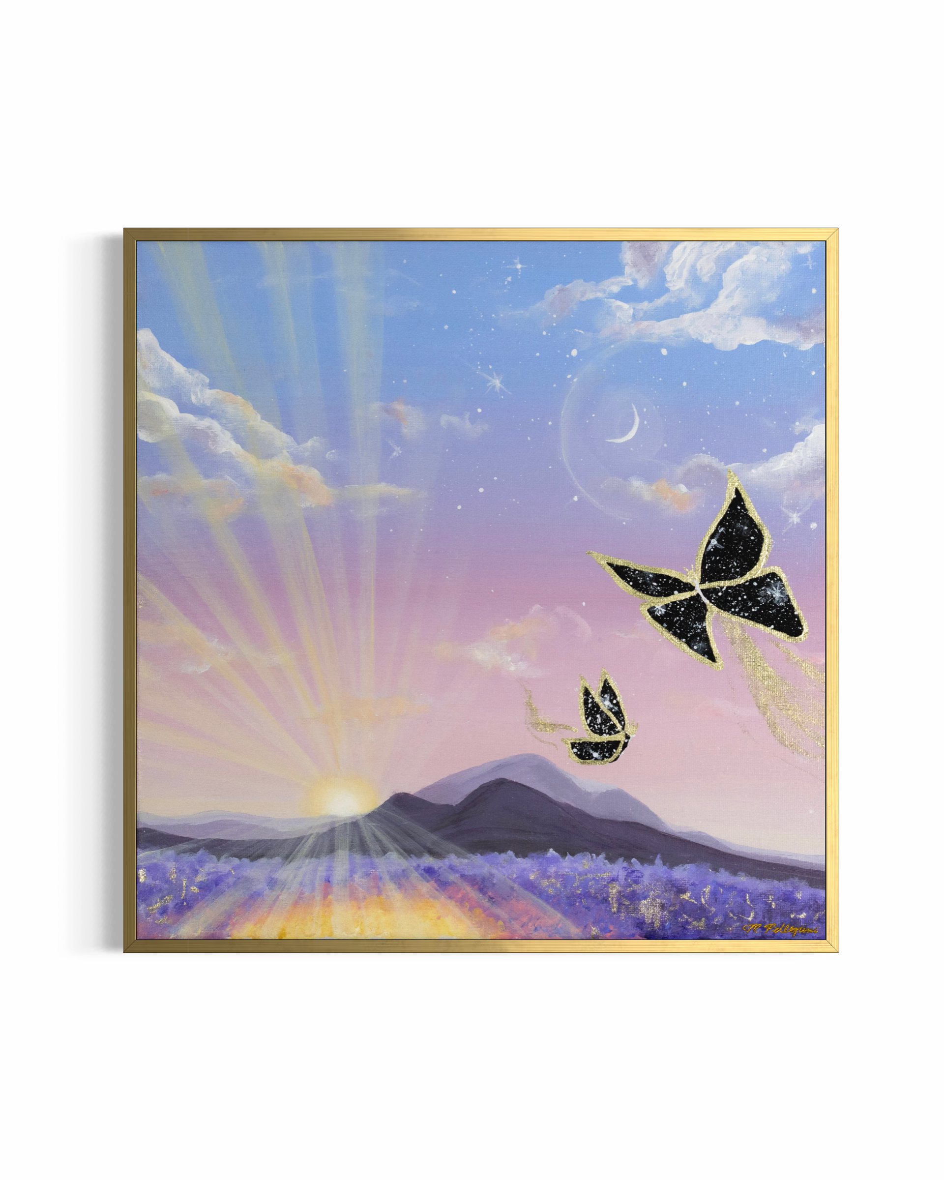 Morning Light - Giclée Fine Art Print (XAOS)
