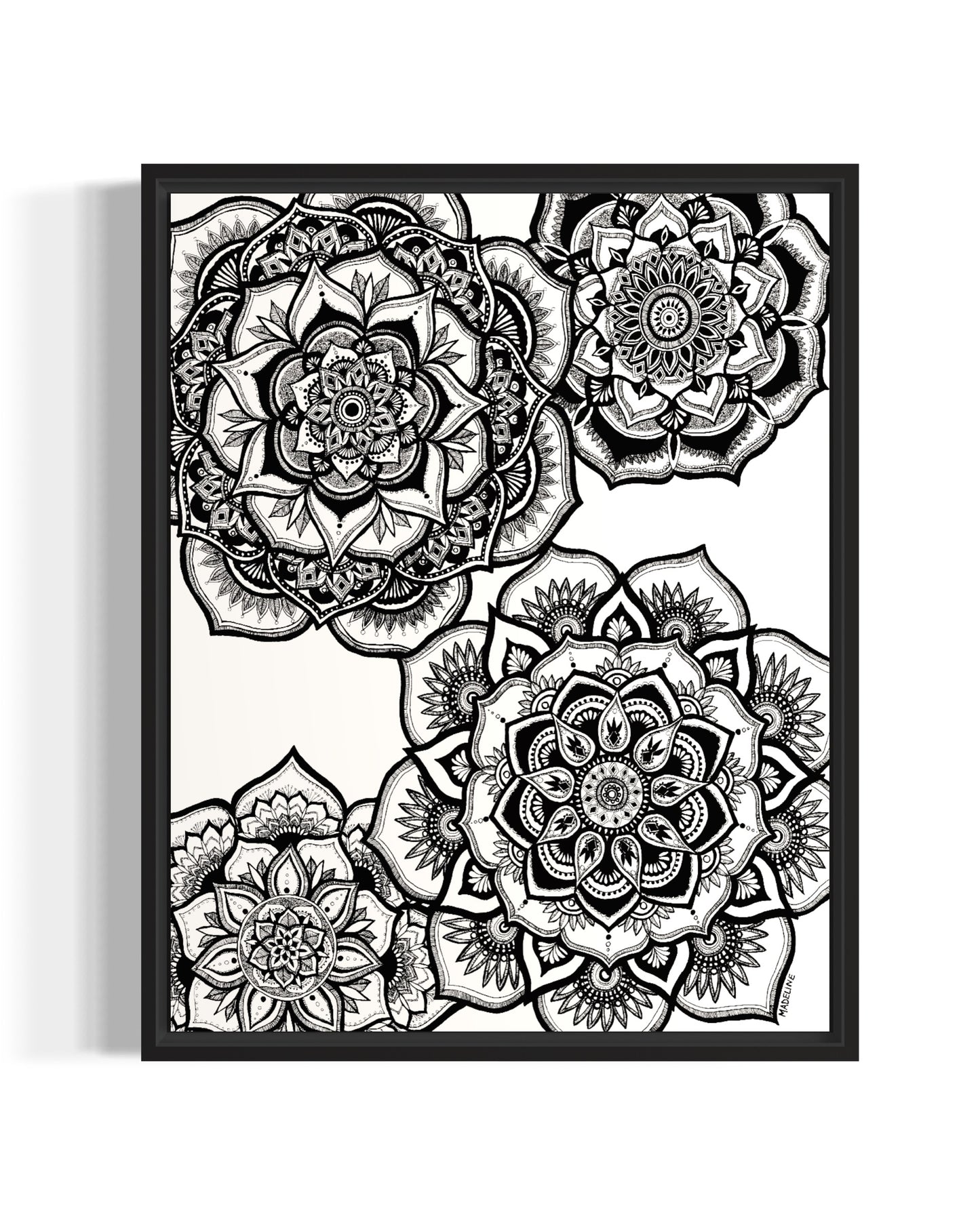 Floral Fascination - Giclée Fine Art Print (XAOS)